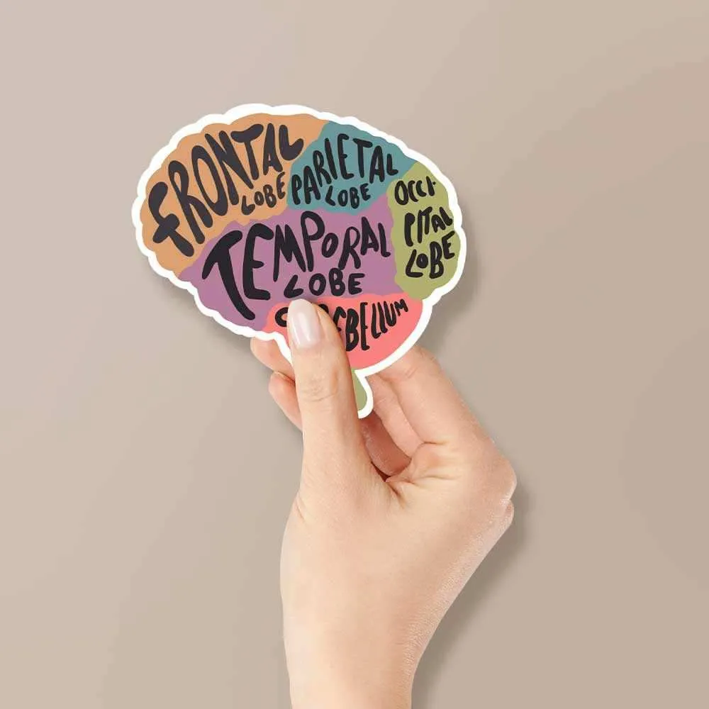 Brain anatomy Sticker